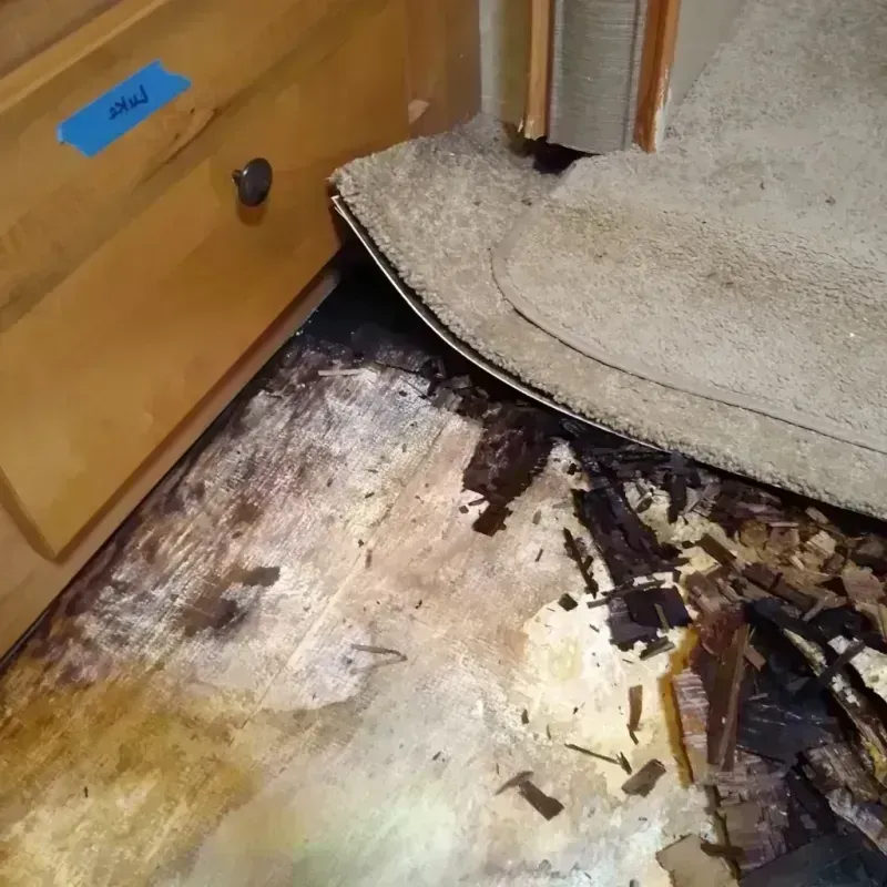 Wood Floor Water Damage in Newton County, TX